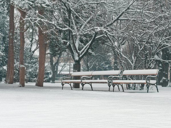Enfants et régime sans gluten : ce que les parents doivent savoir