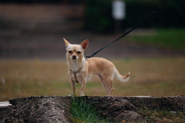 Comment choisir le bon urologue pour votre problème de santé