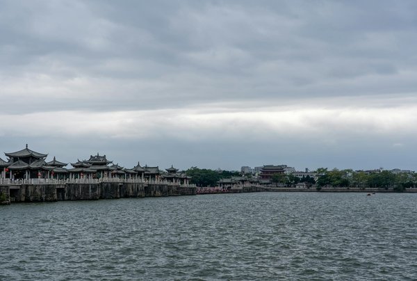 Découverte fascinante : le pouvoir apaisant du thé à la camomille pour vaincre le stress et favoriser la relaxation