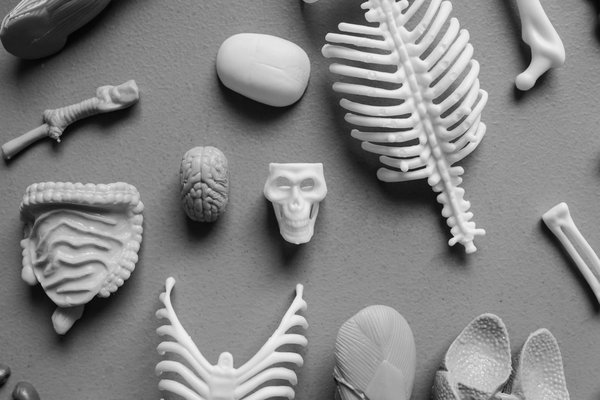 Les meilleurs exercices de renforcement musculaire adaptés aux seniors souffrant de douleurs articulaires